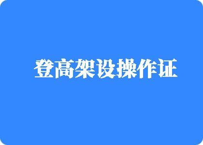 黄骚胸逼啊传媒登高架设操作证